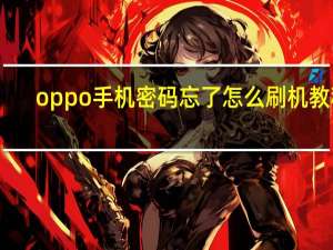 oppo手机密码忘了怎么刷机教程（oppo手机密码忘了怎么刷机）