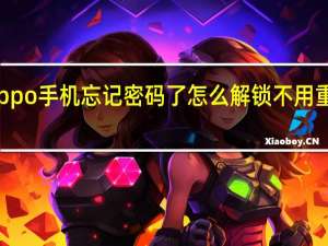 oppo手机忘记密码了怎么解锁不用重置密码（oppo手机忘记密码了怎么解锁）