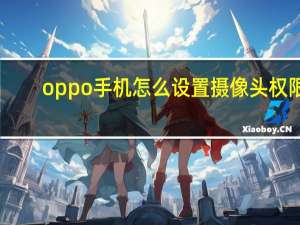 oppo手机怎么设置摄像头权限