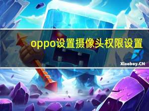 oppo设置摄像头权限设置
