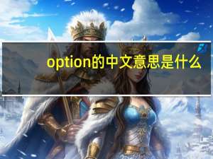option的中文意思是什么