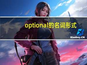 optional的名词形式
