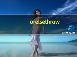 orelsethrow（or else）
