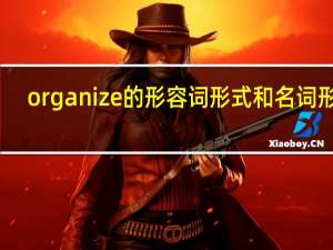 organize的形容词形式和名词形式