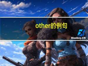 other的例句
