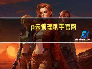 p云管理助手官网（p p助手）