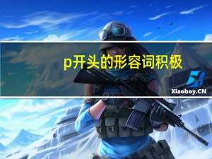 p开头的形容词 积极