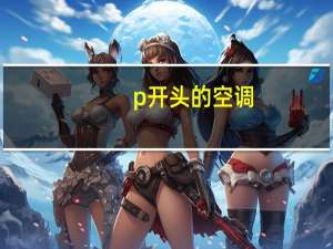 p开头的空调