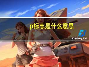 p标志是什么意思