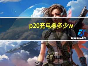 p20充电器多少w