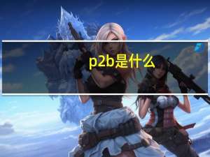 p2b是什么