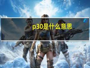 p30是什么意思