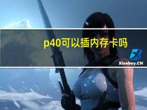 p40可以插内存卡吗