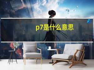 p7是什么意思