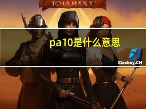 pa10是什么意思