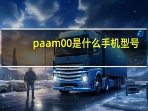 paam00是什么手机型号