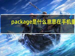package是什么意思在手机里（package是什么意思）