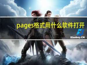 pages格式用什么软件打开（pages用什么软件打开）