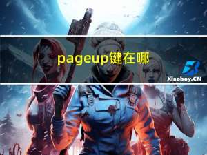 pageup键在哪（pageup）