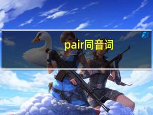 pair同音词
