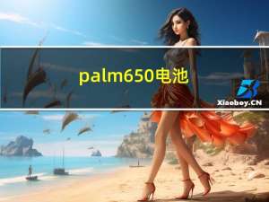palm650电池（palm650）