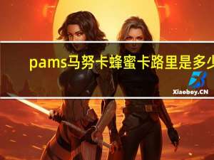 pams 马努卡蜂蜜卡路里是多少