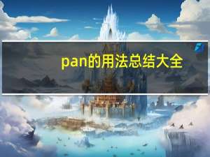 pan的用法总结大全