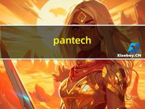 pantech（PANTECH是什么手机）