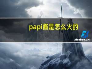 papi酱是怎么火的