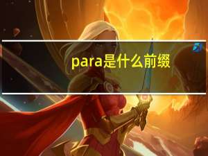 para是什么前缀