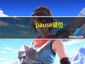 pause键位（pause键）