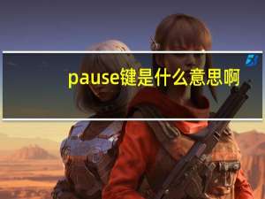 pause键是什么意思啊