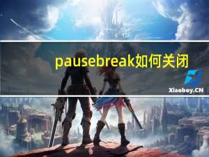 pausebreak如何关闭（pausebreak）
