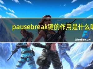 pausebreak键的作用是什么呢