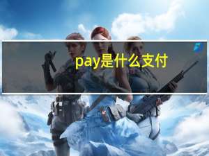 pay是什么支付
