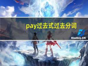 pay过去式过去分词