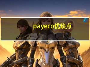 payeco优缺点（payeco）