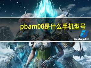 pbam00是什么手机型号