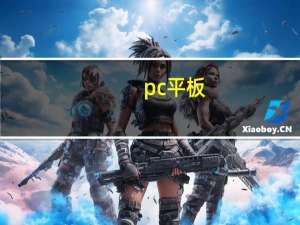 pc 平板（pc 平板二合一）