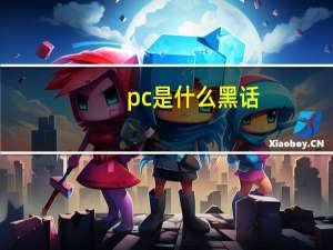pc是什么黑话（pc是什么）