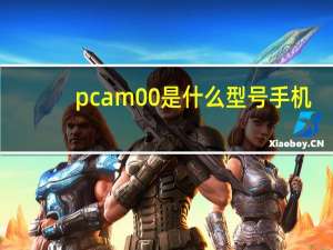 pcam00是什么型号手机