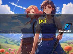 pci（express及x16(pci及express及x16及1.1)）