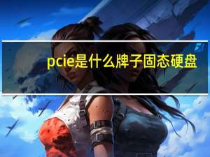 pcie是什么牌子固态硬盘（pcie是什么意思）