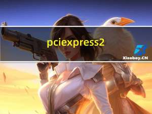pci express 2.0（pciexpress）