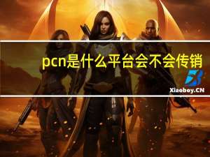 pcn是什么平台会不会传销（p cn是什么）