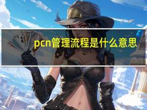 pcn管理流程是什么意思