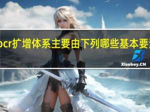 pcr扩增体系主要由下列哪些基本要素组成（pcr扩增体系）