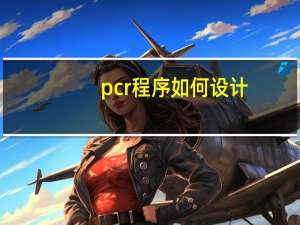 pcr程序如何设计