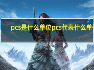 pcs是什么单位 pcs代表什么单位？