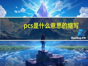 pcs是什么意思的缩写（pcs是什么意思）